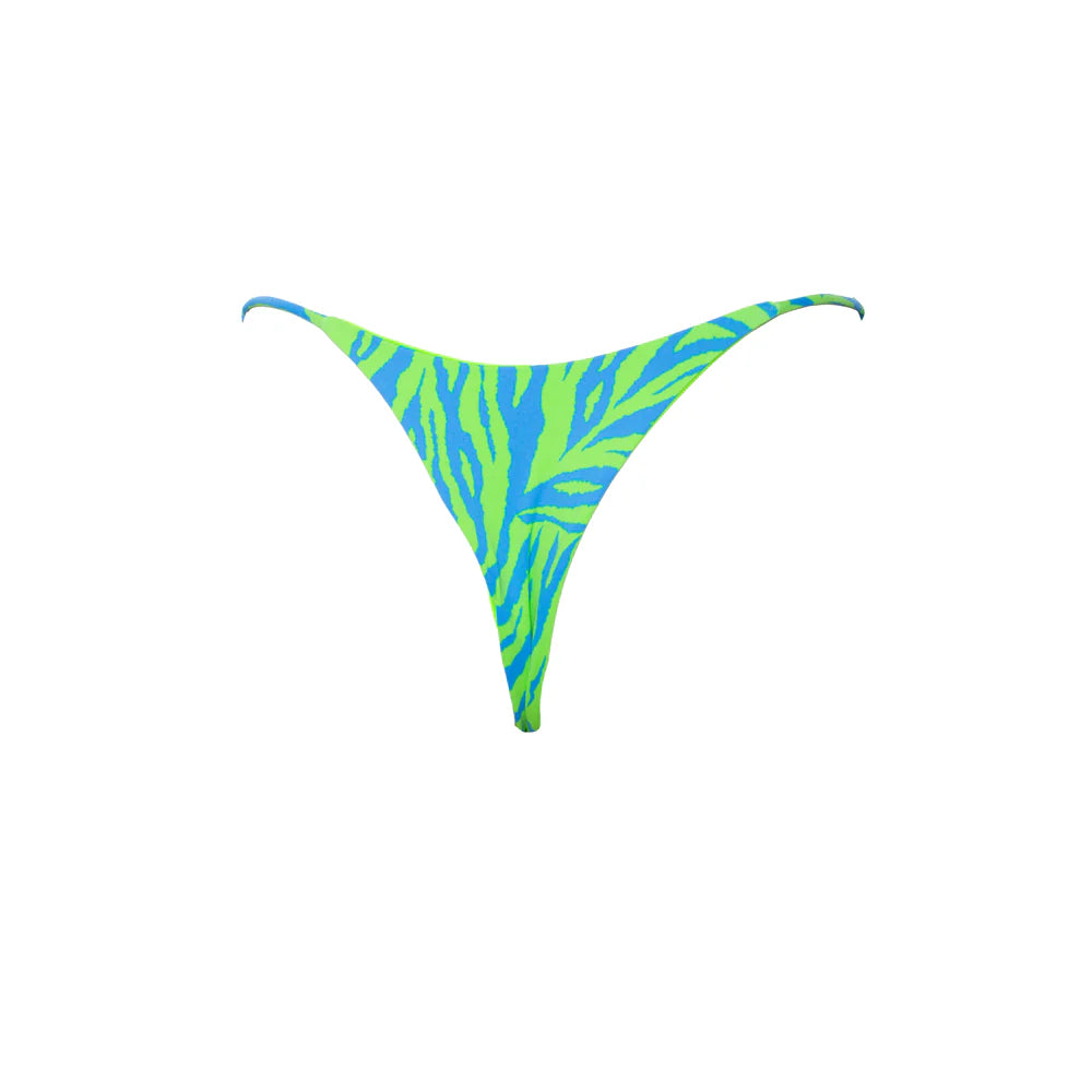 TANGA LAZOS ZEBRA VERDE-AZUL