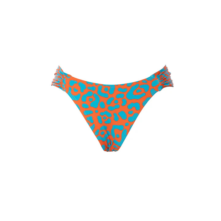 BRASILEÑA MARIPOSA LEOPARDO NARANJA-AZUL